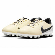 Nike Soccer Spikes Junior Legend 10 Academy HG NIKE Children DV4349-700