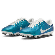 Nike Soccer Spikes Junior Legend 10 Academy FG/MG NIKE Children Lightweight FN5922-300