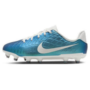 Nike Soccer Spikes Junior Legend 10 Academy FG/MG NIKE Children Lightweight FN5922-300