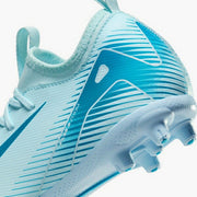 Nike Soccer Spikes Junior Zoom Vapor 16 Academy HG NIKE FQ8407-400