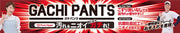 Mizuno Baseball Uniform Pants Regular Type Knee Double Gachi GACHI MIZUNO Wear