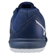 Mizuno training shoes TF-02 MIZUNO gym shoes
