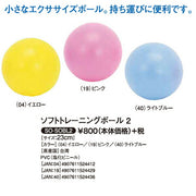 softouch software training ball 2 small exercise ball