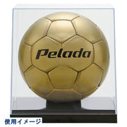 molten soccer Valley basketball for Clear Case No. 5 balls