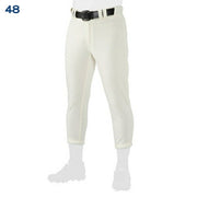 Mizuno Baseball Uniform Pants Bottom Regular Type Mizuno Pro MizunoPro 12JD2F02