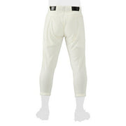 Mizuno Baseball Uniform Pants Bottom Regular Type Mizuno Pro MizunoPro 12JD2F02