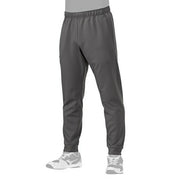 Mizuno Baseball Sweat Pants Training Wear Global Elite MIZUNO Softball 12JFBK10