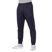 Mizuno Baseball Sweat Pants Training Wear Global Elite MIZUNO Softball 12JFBK10