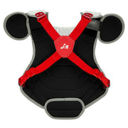 MIZUNO Softball Protector for Catcher Protective Equipment Torso Body 1DJPS120