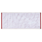 MIZUNO Face Towel Made in Imabari Boxed Sports Towel 32JYB112