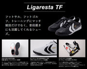 Yasuda YASUDA Training Shoes Ligaresta TF Ligaresta Soccer Futsal Training Shoes F20003-0100