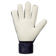 Nike Keeper Gloves GK Gloves GK Match FJ4862-420