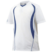Mizuno Baseball Shirt, V-Neck, Softball Shirt, 12JC5L10