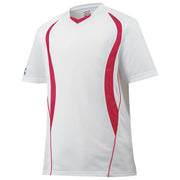 Mizuno Baseball Shirt, V-Neck, Softball Shirt, 12JC5L10