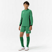 Mizuno Men's Junior Goalkeeper Shirt, Long Sleeve Top with Elbow Pads, Soccer/Futsal Wear, P2MAC075