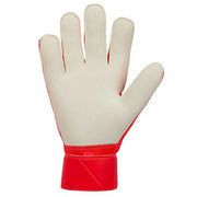 Nike Goalkeeper Gloves, Match, HQ0257-635