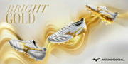 Mizuno Morelia Sala Elite TF SALA ELITE Training Shoes for Futsal and Soccer. Ships immediately. Product code: Q1GB261250.