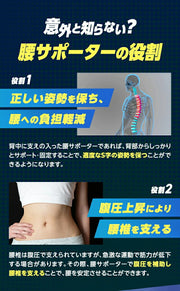 ZAMST ZW-5 Lower Back Supporter