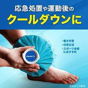 ZAMST Ice Pack, Medium Size, Icing, Cooling, Cool Down, 378102