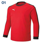 Puma Goalkeeper Shirt, Long Sleeve Top with Elbow Pads, Soccer/Futsal Wear, 729965