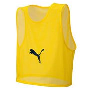 Puma Soccer Bibs (No Numbers) for Men and Juniors, Futsal Wear, Puma 920605