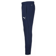 Puma Slim Fit Teamfinal Training Pants for Men, Soccer and Futsal, Size 660804