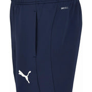 Puma Slim Fit Teamfinal Training Pants for Men, Soccer and Futsal, Size 660804