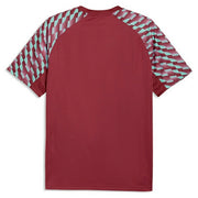 Puma Soccer Uniform Short Sleeve Top Game Shirt Futsal Wear PUMA Men's 660954 ■