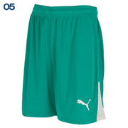 Puma Soccer Junior Uniform Pants, Game Pants, Shorts, Futsal Wear, PUMA 707343