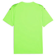 Puma Soccer Uniform, Short Sleeve Top, Game Shirt, Futsal Wear, PUMA Men's 706791 ■