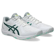 ASICS Table Tennis Shoes DYNAFEATHER STANDARD asics 1073A064 -102