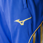 Mizuno Jersey Shorts Lower Trousers Shorts Warm Up MIZUNO Soccer Futsal Wear P2MD7081