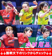 MIZUNO Women's Table Tennis Skirt Skort Lower Uniform Wear