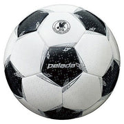 Molten Soccer Ball No. 5 Test Ball Pereda 5000 Earth Molten